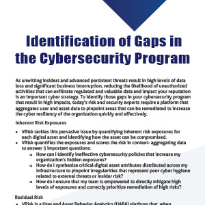 Identify Gaps in Cyber Program Solution Brief